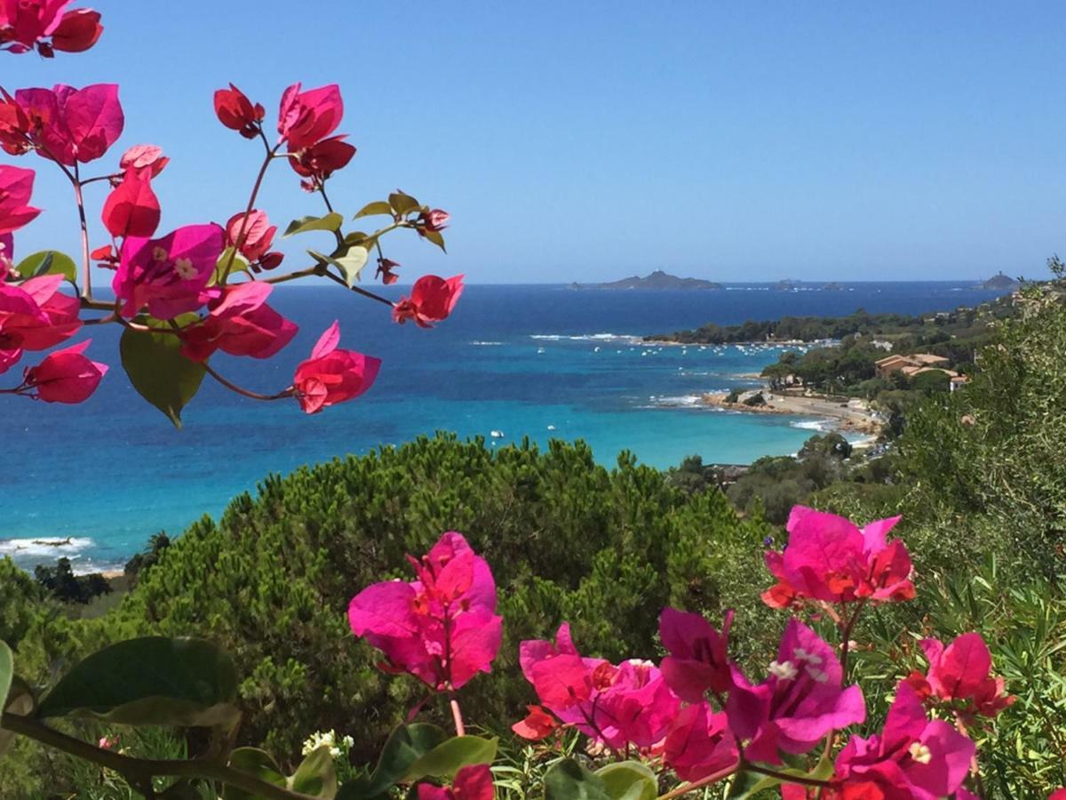 Barbicaj'Alta - Gites Ajaccio  Buitenkant foto
